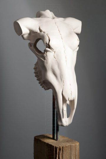 Pasiphae