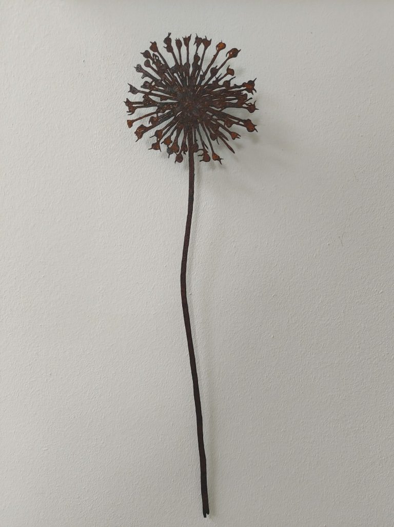 Kleine allium