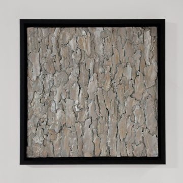 Rift 30x30 595