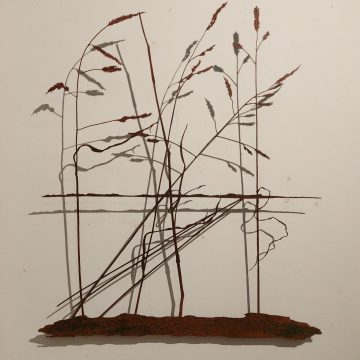 Landschap veldgrassen