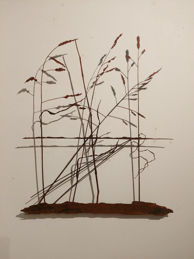 Landschap veldgrassen