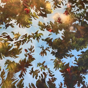 Light of Day - Elke Meulendijks