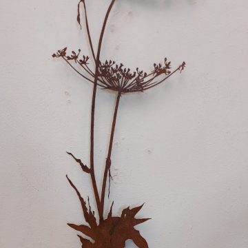 Schermbloem