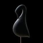 black swan