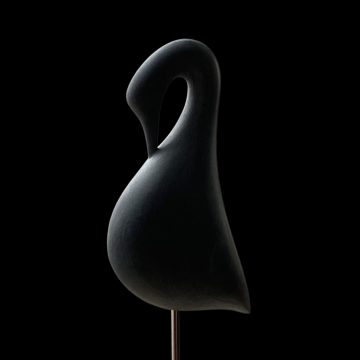 black swan
