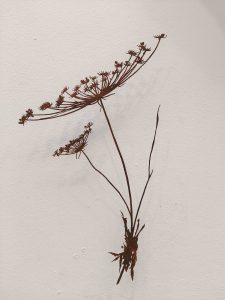 Schermbloem medium