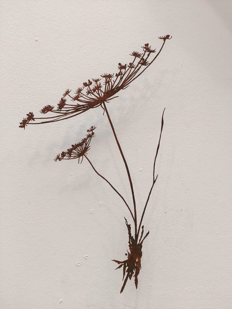 Schermbloem medium